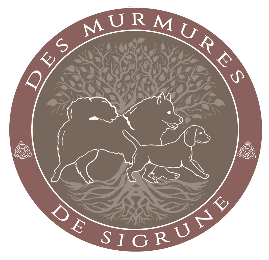 Des Murmures De Sigrune